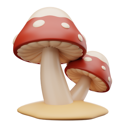 Funky Mushroom  3D Icon