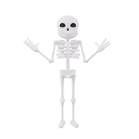 Funny skeletons standing with open hands  3D Illustration