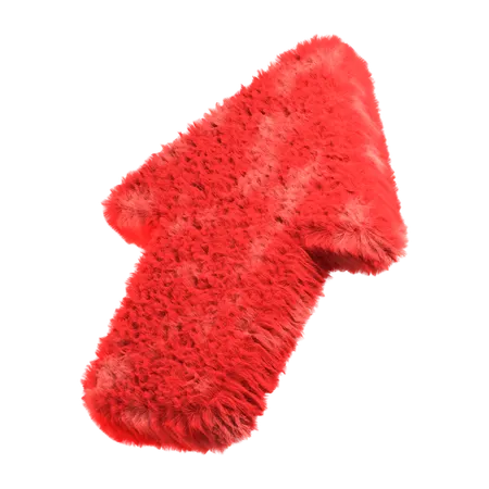 Fur Arrow Sign  3D Icon