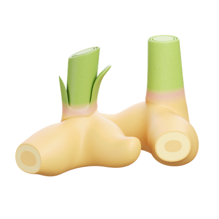 Galanga  3D Icon
