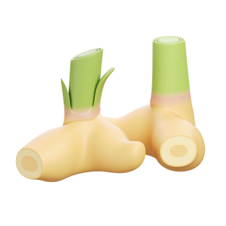 Galangal  3D Icon