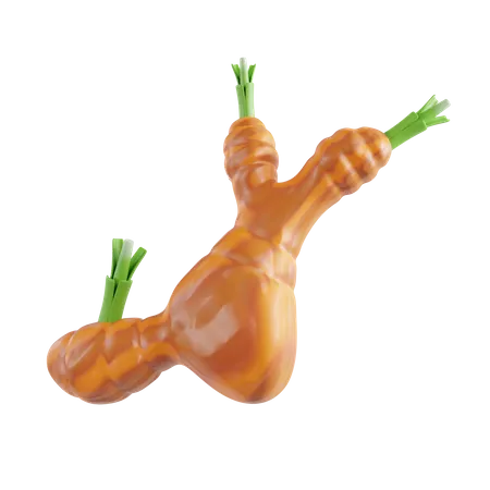 Galangal  3D Icon
