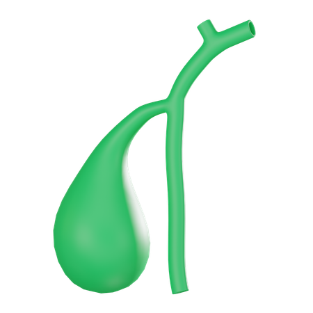 Gall Bladder  3D Icon