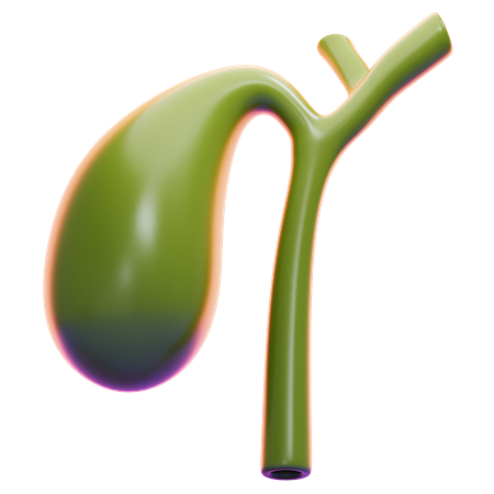 GALL BLADDER  3D Icon