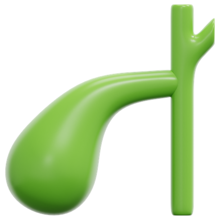 Gallbladder  3D Icon
