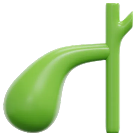 Gallbladder  3D Icon