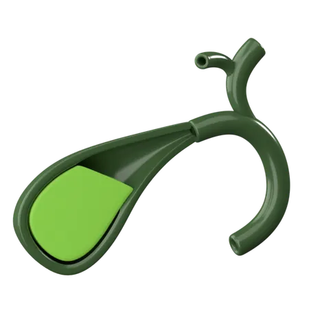 Gallbladder  3D Icon