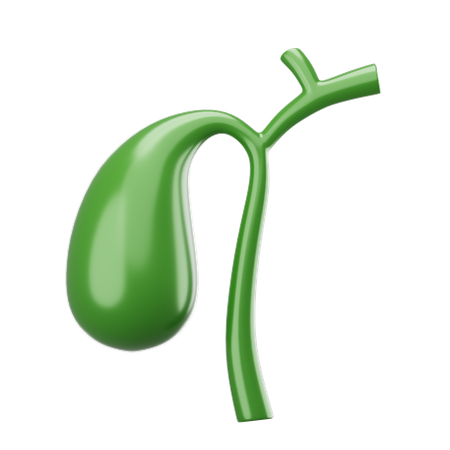 Gallbladder  3D Icon