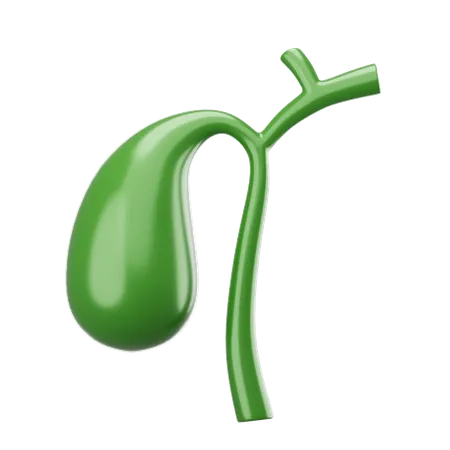 Gallbladder  3D Icon