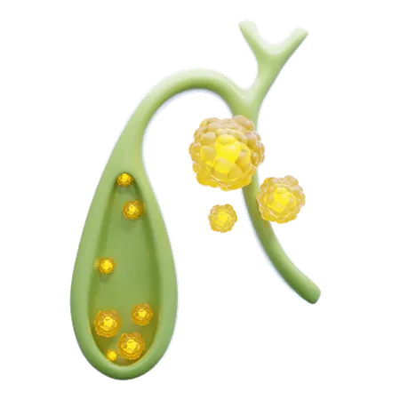 Gallbladder  3D Icon