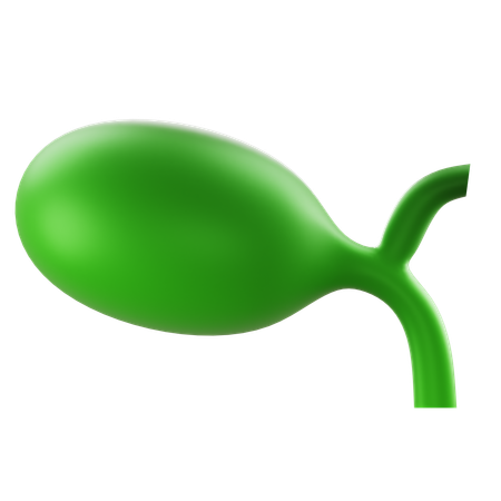 Gallbladder  3D Icon