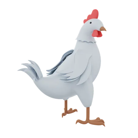 Gallina  3D Icon