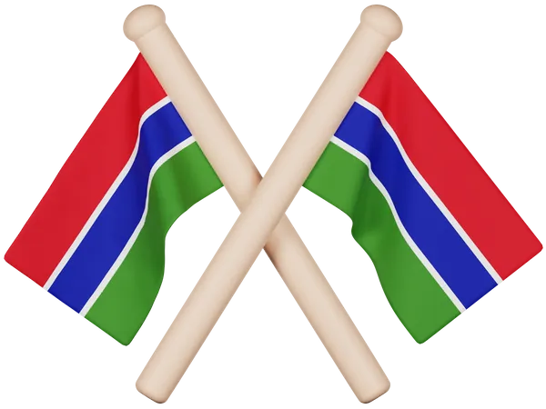 Gambia Flag  3D Icon