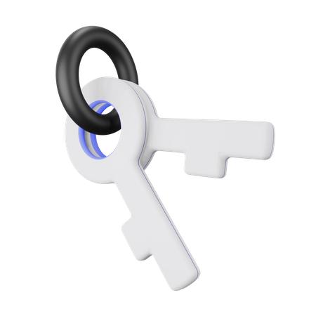 Game Key  3D Illustration