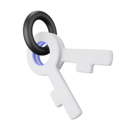 Game Key  3D Illustration