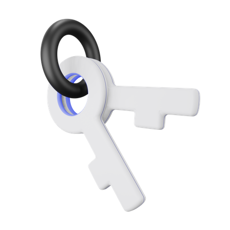 Game Key 3D Illustration