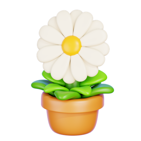 Gänseblümchen  3D Icon