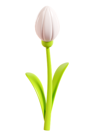 Gänseblümchen  3D Icon