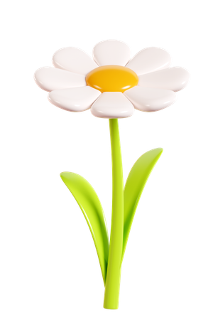 Gänseblümchen  3D Icon