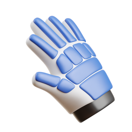 Gants de cricket  3D Icon