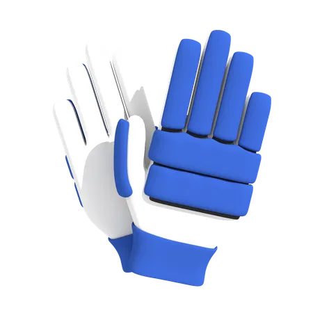 Gants de cricket  3D Icon