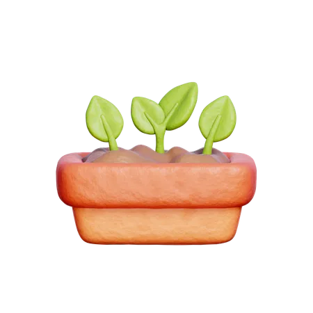 정원 식물  3D Icon