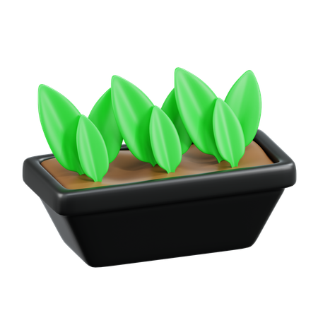 Garden Plants  3D Icon