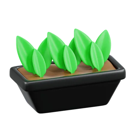 Garden Plants  3D Icon