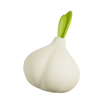 Garlic  3D Icon