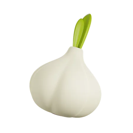 Garlic  3D Icon