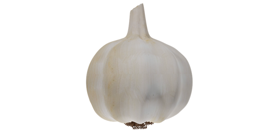 Garlic  3D Icon