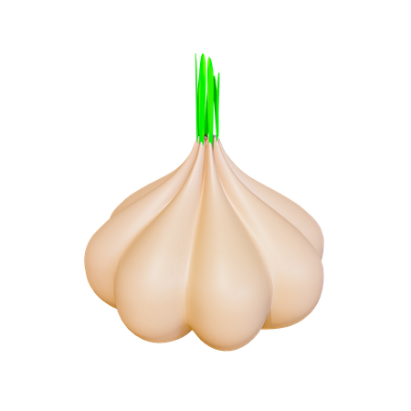 Garlic  3D Icon