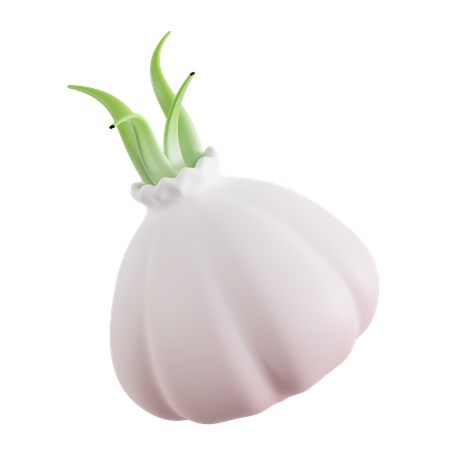 Garlic  3D Icon