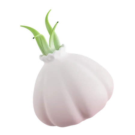 Garlic  3D Icon