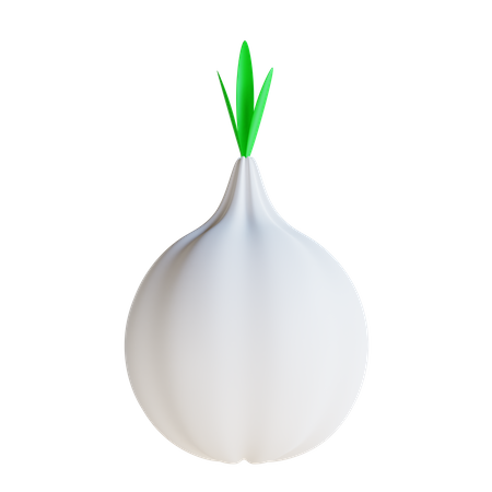 Garlic  3D Icon