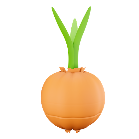 Garlic  3D Illustration