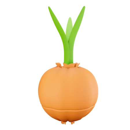 Garlic  3D Illustration