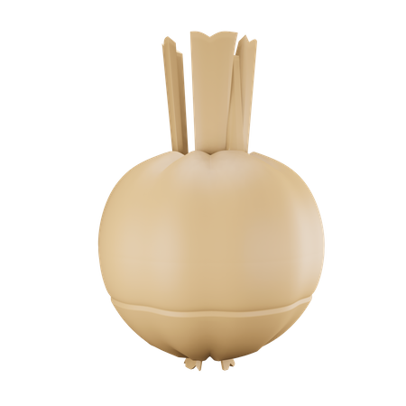 Garlic  3D Illustration