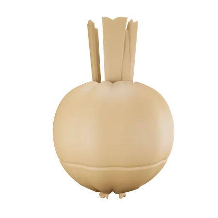 Garlic  3D Illustration