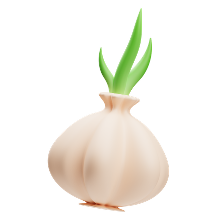 Garlic  3D Illustration