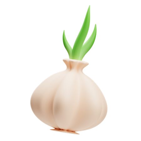 Garlic 3D Illustration
