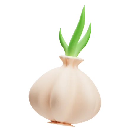 Garlic  3D Illustration