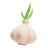 garlic 3d