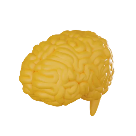Das Gehirn Ist Perfekt Geeignet Um Das Wesen Von Intelligenz Innovation Und Geistiger Leistungsfahigkeit Zu Vermitteln 3 D Darstellung 3D Icon