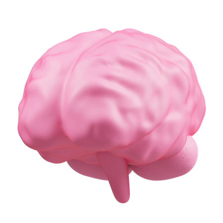 Gehirn  3D Illustration