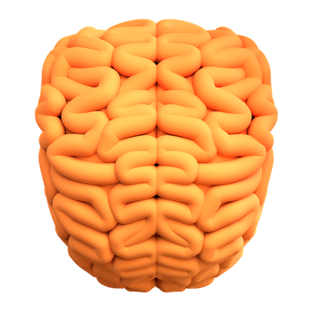 Gehirn  3D Icon