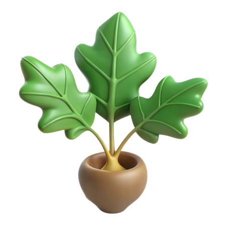 Geigenblatt-Feigenpflanze  3D Icon