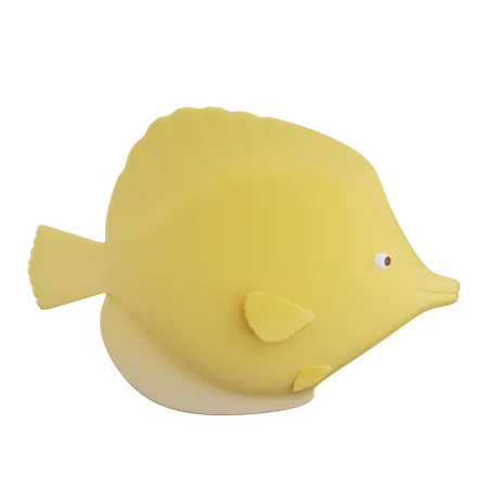 3 D Illustration Eines Gelben Doktorfisches Mit Transparentem Hintergrund 3D Illustration