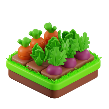 Gemüsegarten auf dem Boden  3D Icon