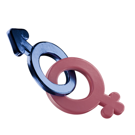 Gender Sign  3D Icon